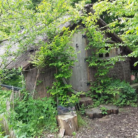 Cabane D'Augustin Saint-Augustin  Экстерьер фото